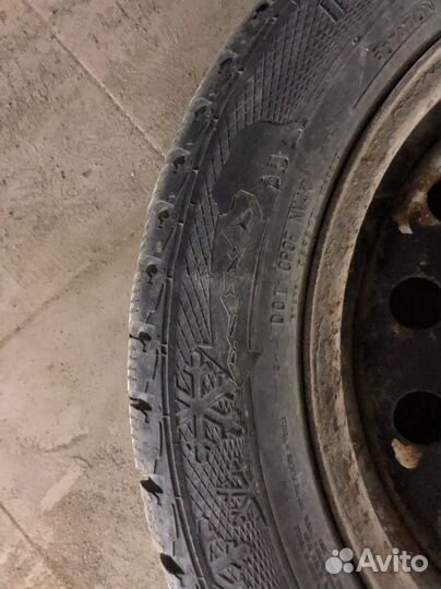 Gislaved Nord Frost 5 205/55 R16