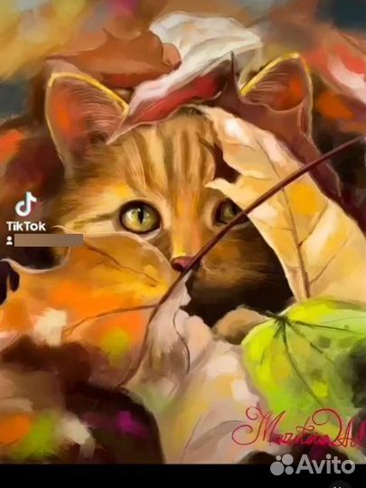 Портреты,иллюстрации