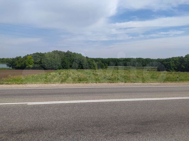 Участок 85 сот. (СНТ, ДНП)