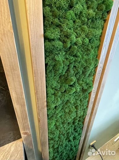 Рейки, бруски, стабилизированный мох