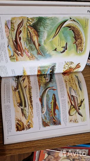 Атлас доисторический мир нас английском