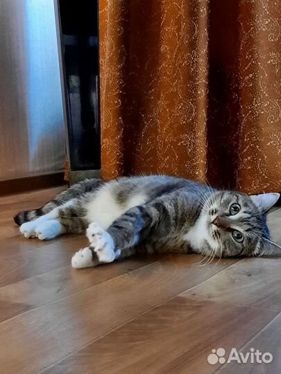 Европейская