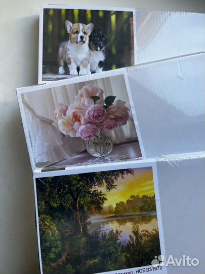 Картина по номерам новая