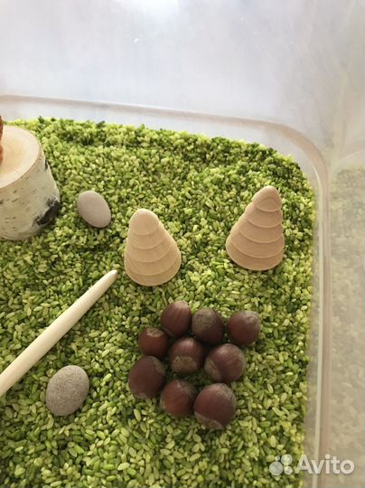 Сенсорная коробка