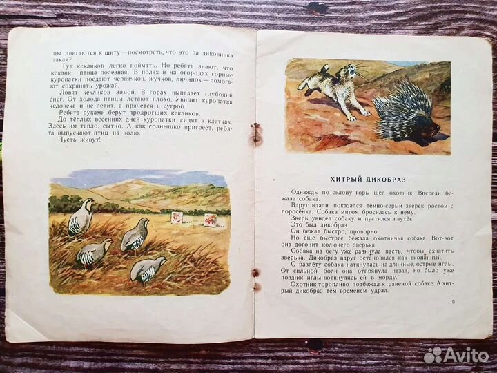 Байдерин. Как медвежата учились 1957 г