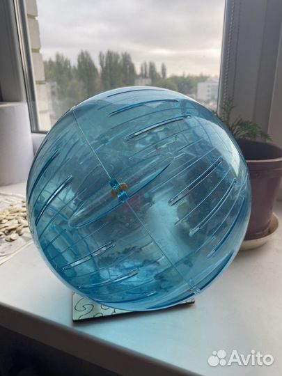 Шар для грызуна