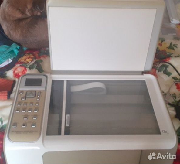 Принтер, сканер, печать фото