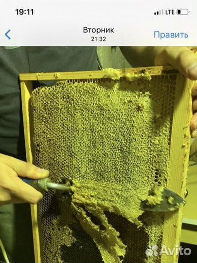 Натуральный мед