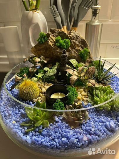 Флорариум В каждый дом