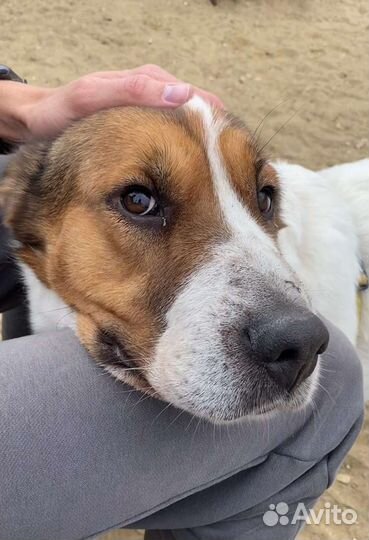 Ласковая девочка