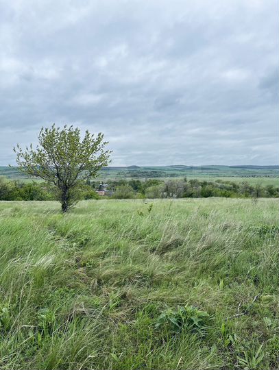 Участок 6 сот. (ИЖС)