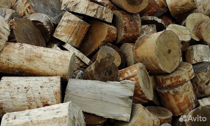 Дрова осина