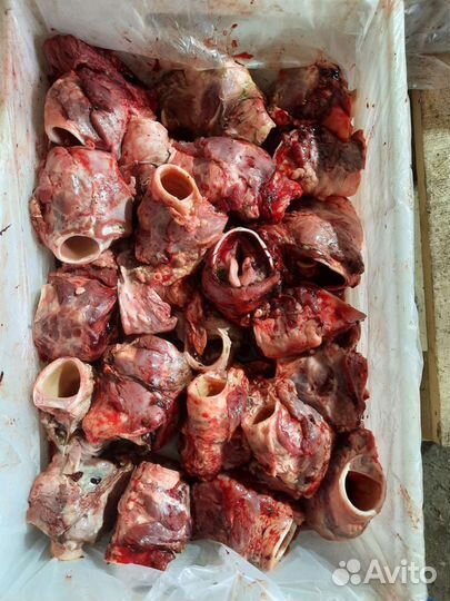 Мясо для собак