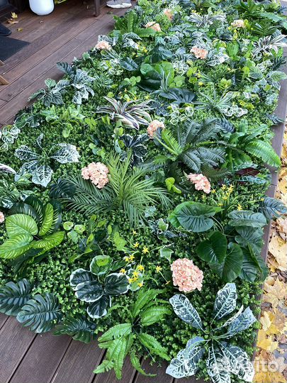 Фитостена, вертикальное озеленение, картины