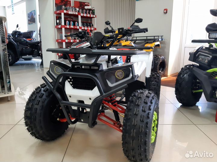 Квадроцикл Motoland shark 125