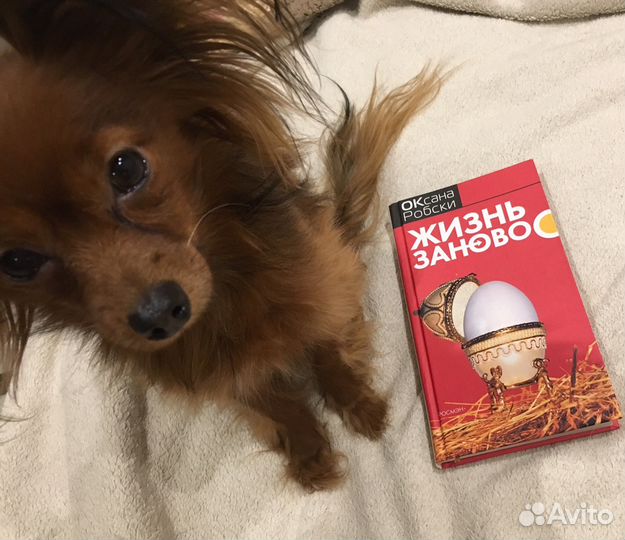 Книги Оксаны Робски