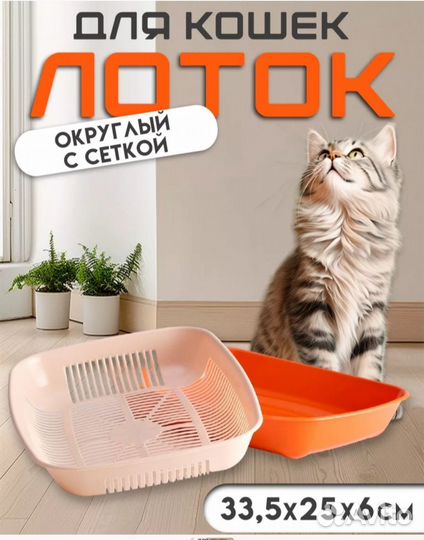 Лоток для котят