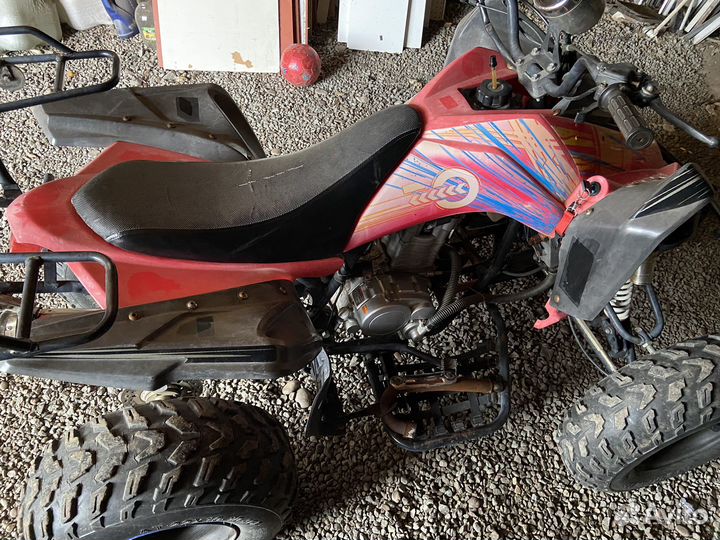 Wasabi 250
