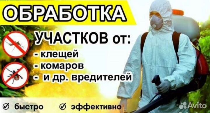 Дезинфекция