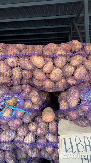 Картофель оптом