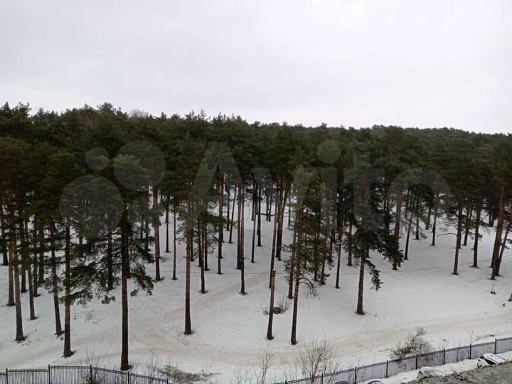 2-к. квартира, 80 м², 7/17 эт.