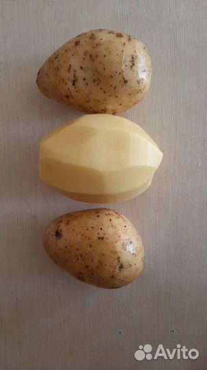Продам картофель