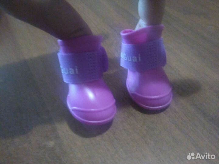 Ботиночки для собачки