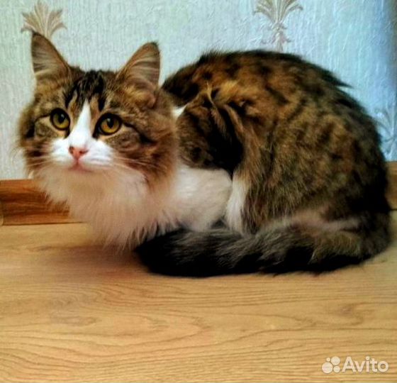 Мусенька 1,5 года