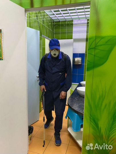 Дезинсекция дезинфекция дератизация