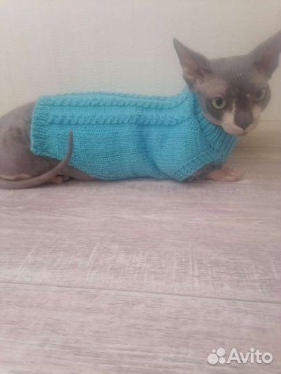 Одежда для кошечек и собачек