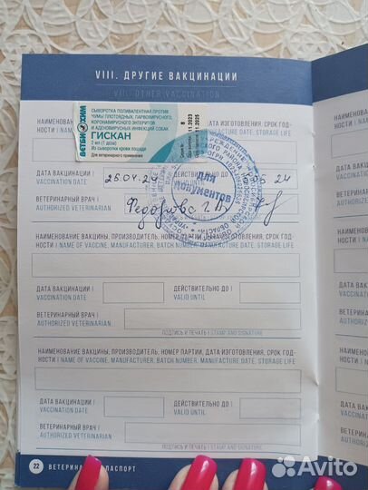 Щенки сао(алабай)