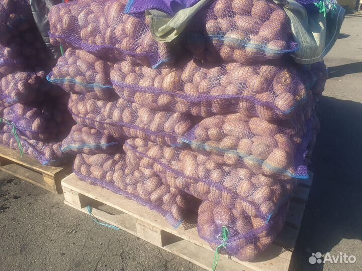 Продам картофель оптом