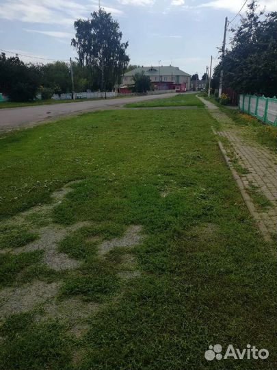 Покос травы триммером