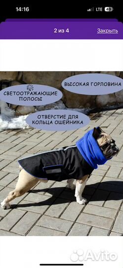Жилет-попона для собак