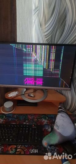 Монитор для компьютера hdmi