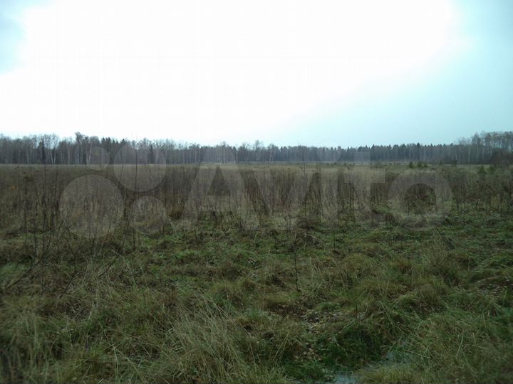 Участок 11 га (СНТ, ДНП)