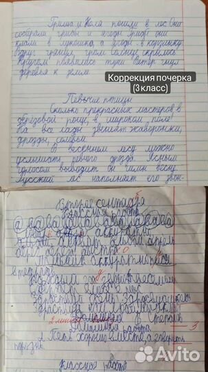 Подготовка к школе. Репетитор начальных классов