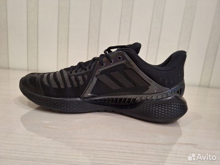 Кроссовки мужские Adidas climacool