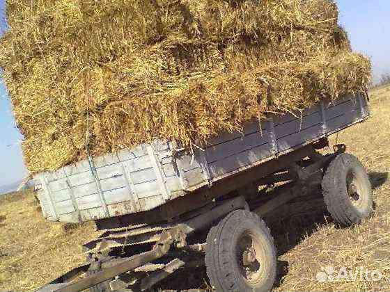 Сено с доставкой