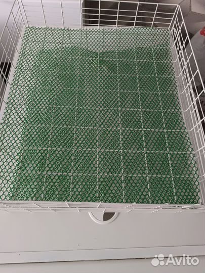 Инкубатор для яиц автоматический промышленный