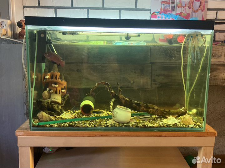 Аквариум с рыбками
