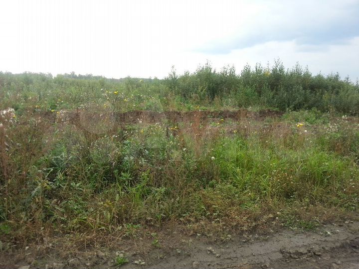 Участок 5,1 га (СНТ, ДНП)