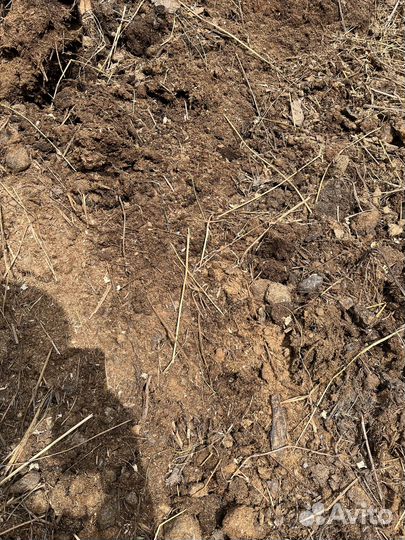 Навоз коровий, конский, перегной, компост