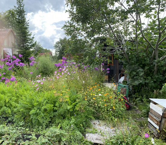 Участок 5,1 сот. (СНТ, ДНП)