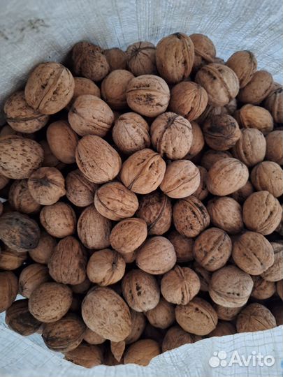 Грецкий орех очищенный и в скорлупе,Крым