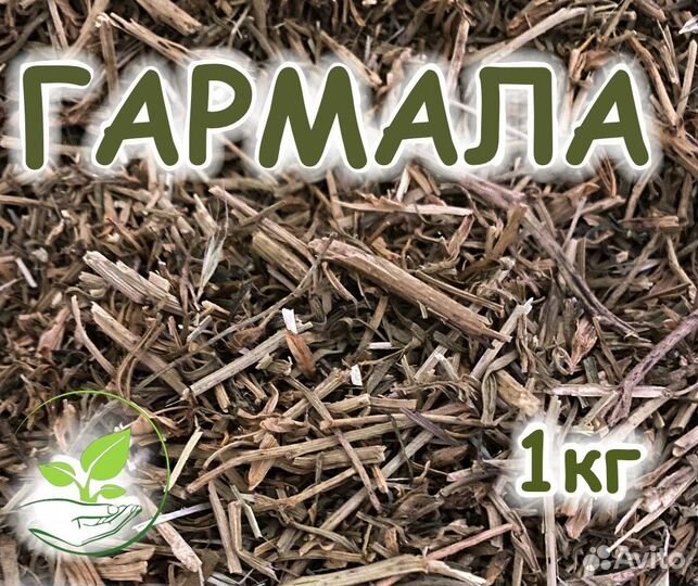Гармала оптом