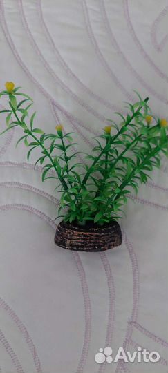 Растения для аквариума декор