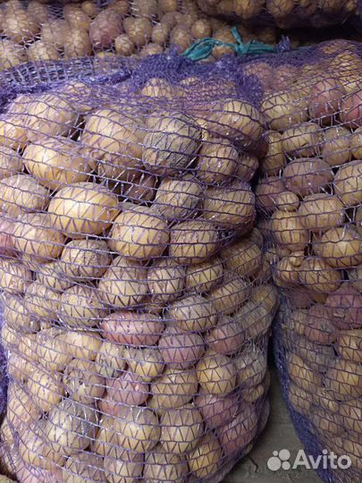 Мелкая картошка