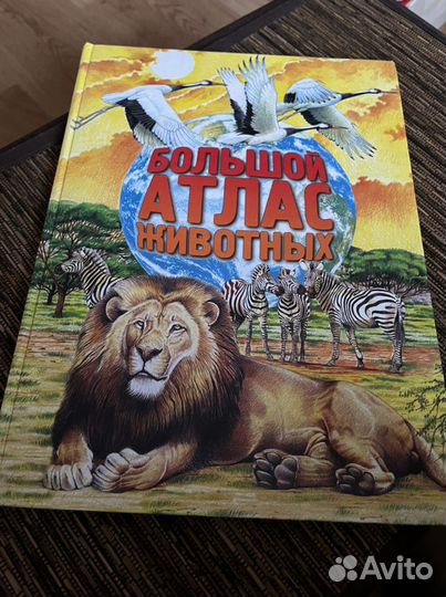 Книги детские развивающие