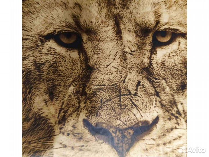 Картина Лев выжигание на дереве